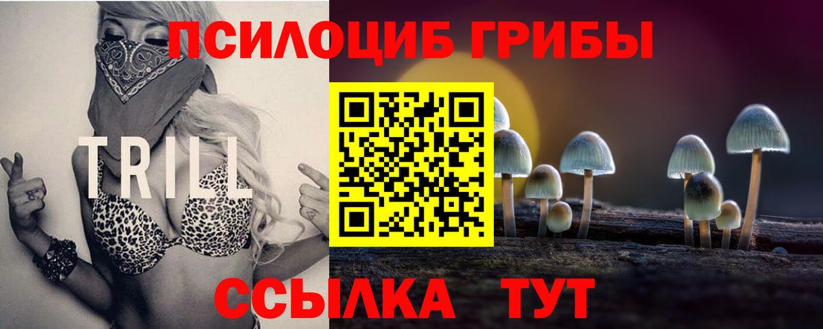 Псилоцибиновые грибы Cubensis Новочеркасск
